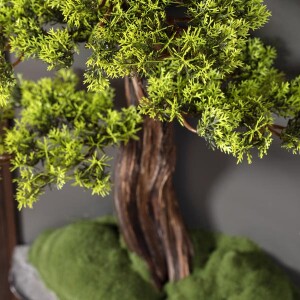 Tablo Thuja Tablaeu 13 35x65 cm - 11