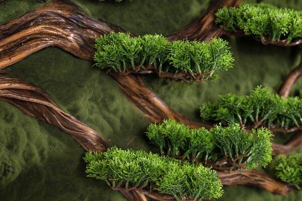 Bonsai Tablaeu Grande-4 - 2