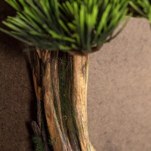 Timber Thuja Tablaeu-3 Tablo - TepeHome (1)