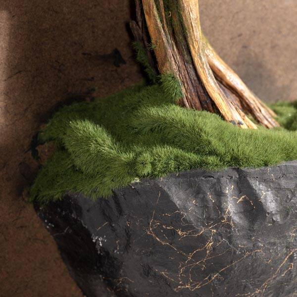 Timber Thuja Tablaeu-3 Tablo - 5