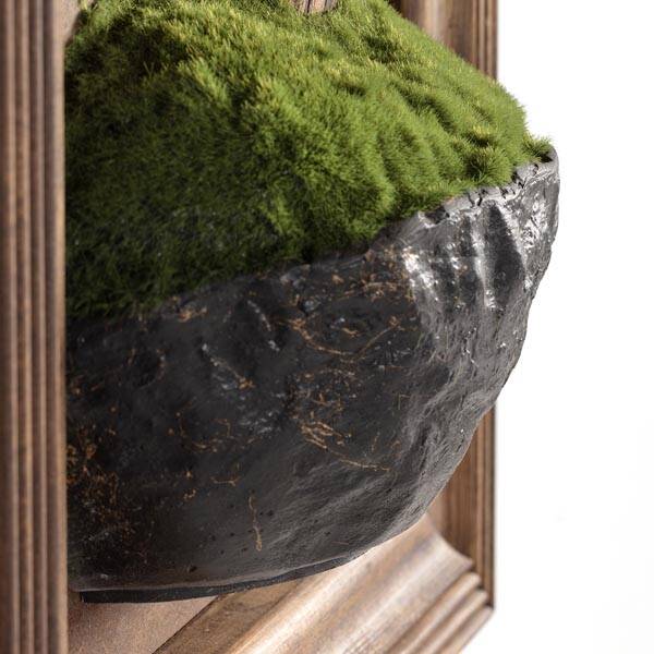 Timber Thuja Tablaeu-7 Tablo - 4