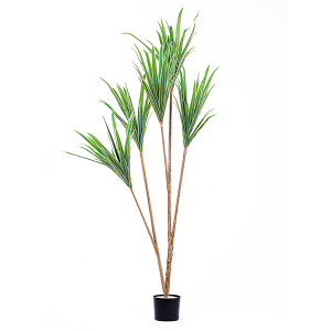 Yapay Dracaena Ağacı 3 Dallı 180 cm - TepeHome