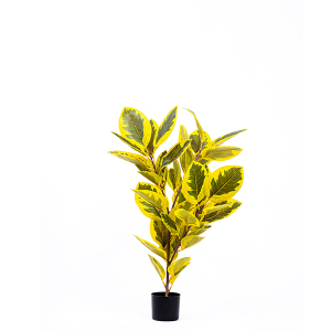 Yapay Ficus Altissima Ağac Srı Ysl 120cm - TepeHome